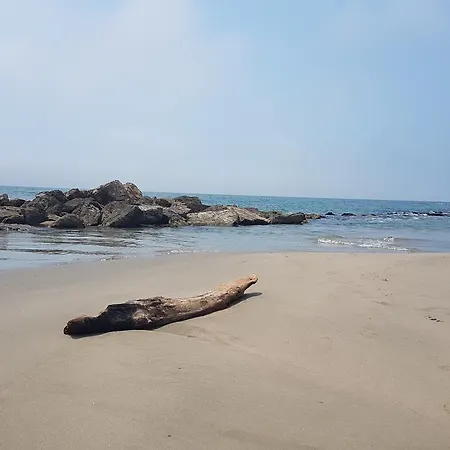 Le Clos De Camargue Hotel Gallician